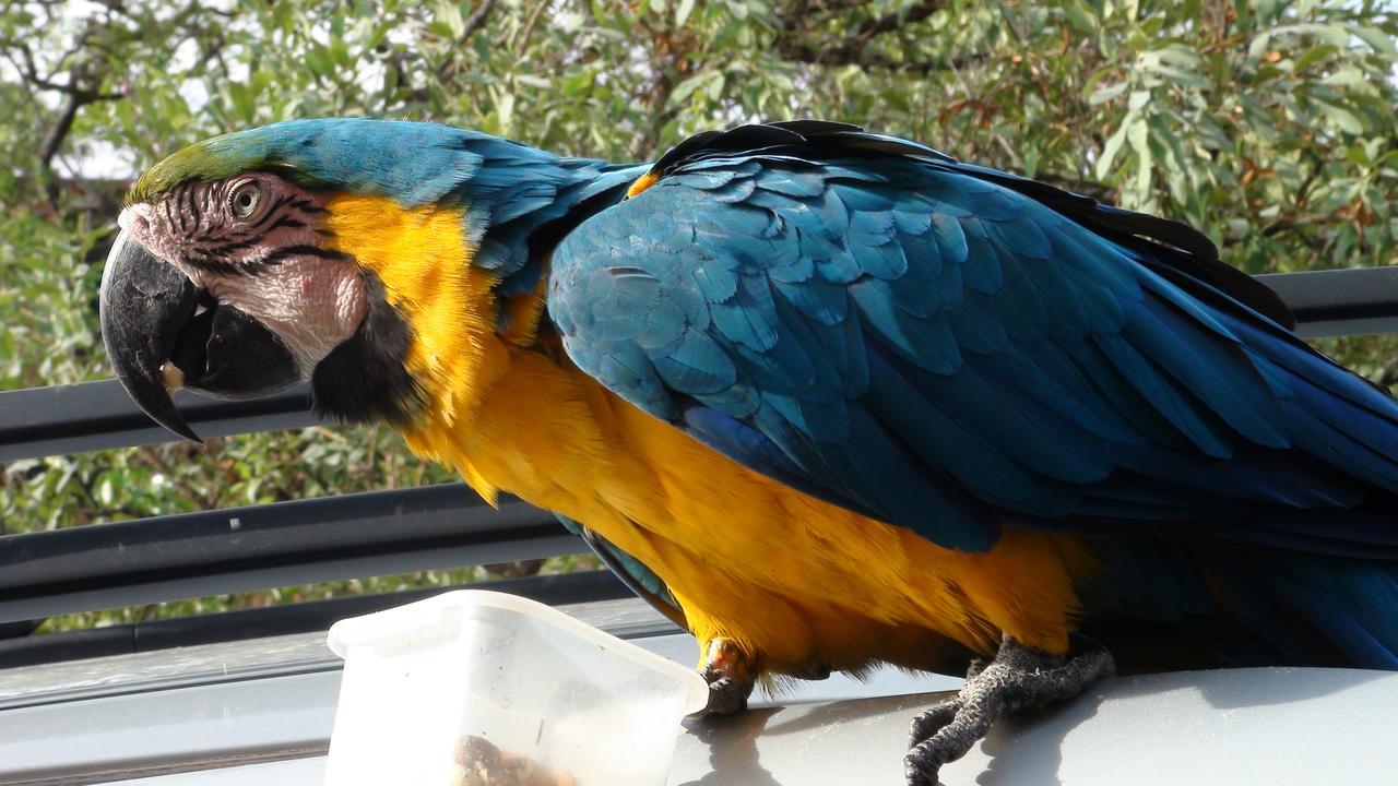 Canto Da Coruja - Ecohospedagem Otel São Jorge Dış mekan fotoğraf